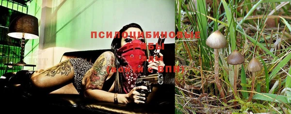 герыч Абаза