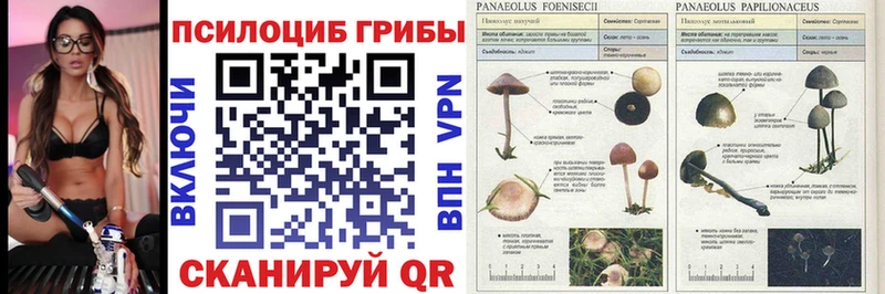 Псилоцибиновые грибы прущие грибы Рыльск