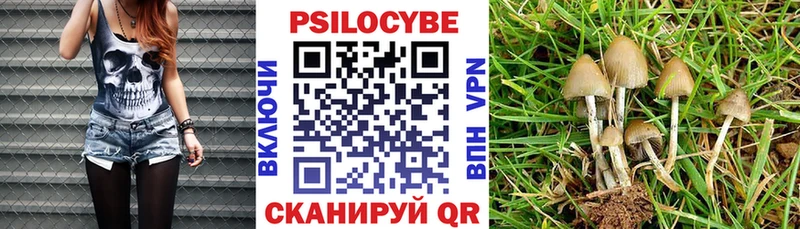 Галлюциногенные грибы мицелий  как найти наркотики  Рыльск 